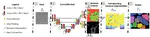 Dual-Task ConvLSTM-UNet for Instance Segmentation of Weakly Annotated Microscopy Videos